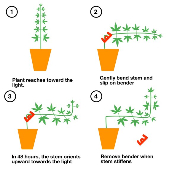 AFORIZO Plant Bender,Twig Clamps Plant Training for Low Stress Training,Plant Clips for Support Growth Manipulation Kit,Control The Growth of Plants. 50PCS