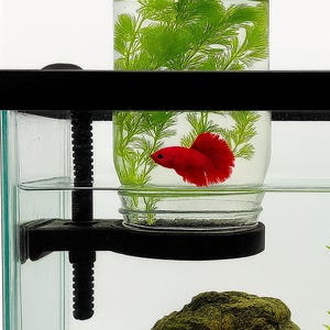 Verstellbarer Aquarium-Einmachglashalter: Betta Fish Tank Aqua Cove