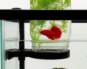 Adjustable Aquarium Mason Jar Holder: Betta Fish Tank Aqua Cove