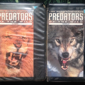 Predators of the Wild 2 VHS lot wolf lion