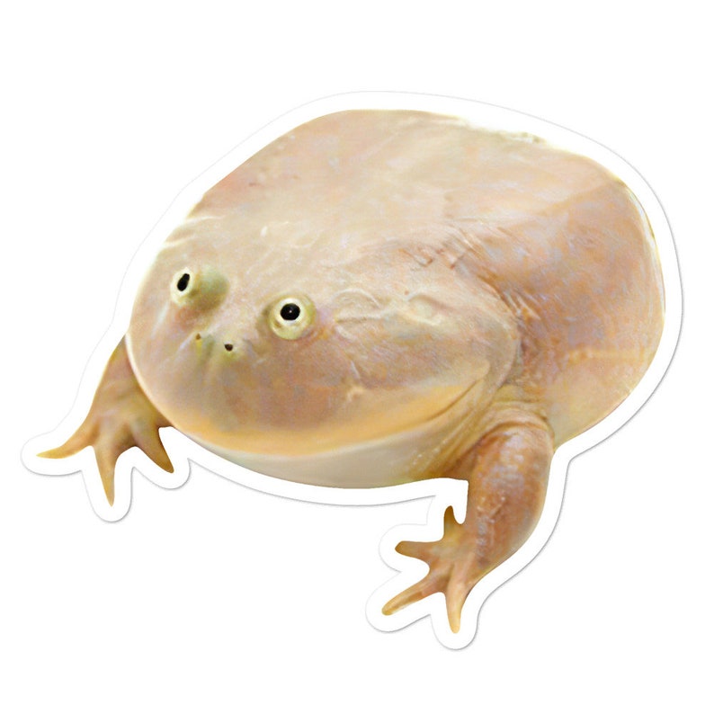 Wednesday Frog It's Wednesday My Dudes Sticker Etsy