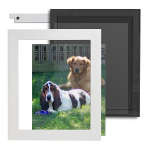 Puede incluir: Un marco de fotos blanco con una foto de dos perros en un área cubierta de hierba. El perro de la izquierda es un basset hound con pelo blanco y negro. El perro de la derecha es un golden retriever.