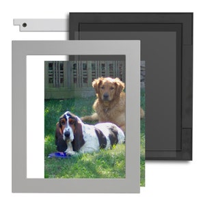 Puede incluir: Un marco de fotos plateado con una foto de dos perros en un área cubierta de hierba. El perro de la izquierda es un basset hound con pelaje blanco y negro. El perro de la derecha es un golden retriever con pelaje marrón.