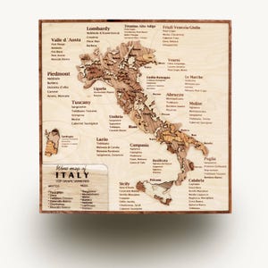 Colección de 5 mapas de vides de Napa, España, Francia, Portugal e Italia.