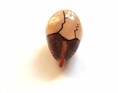 Haitian Folk Art Hand Carved wooden Bird in Egg Haiti painted figurine Handmade Ayiti handpainted wood carved Whimsical chick in egg (GJ833)