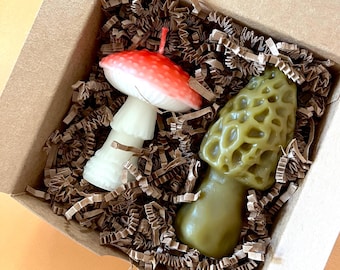 Mushroom Candle Gift Set: Amanita and Large Morel - Beeswax Candles