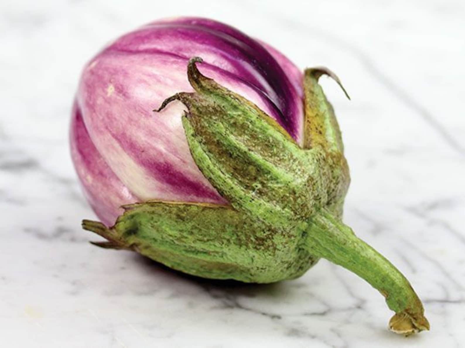 Berenjena Belleza Negra o Rosa Bianca Orgánica 35 semillas o | Etsy