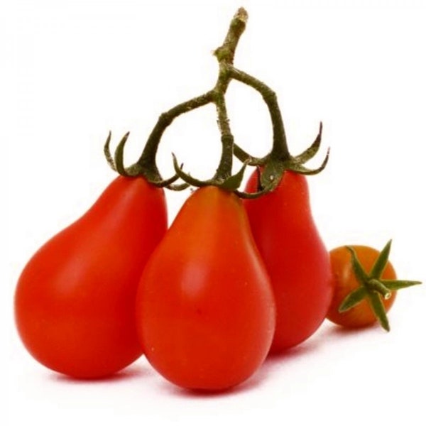 Pear Tomato Red or Yellow / 25 seeds / Heirloom / NON-GMO