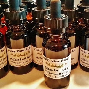 May include: A close-up of multiple amber glass bottles with dropper tops, each labeled "Valley View Ranch Mullein Leaf Extract Verbascum thapsus 1 fl oz (30ml) Herbal Supplement".