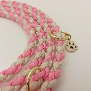 geflochtene Paracord Hundeleine für Welpen und kleine Hunde