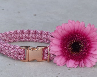 May include: A pink and white patterned dog collar with a rose gold buckle, next to a pink gerbera daisy.