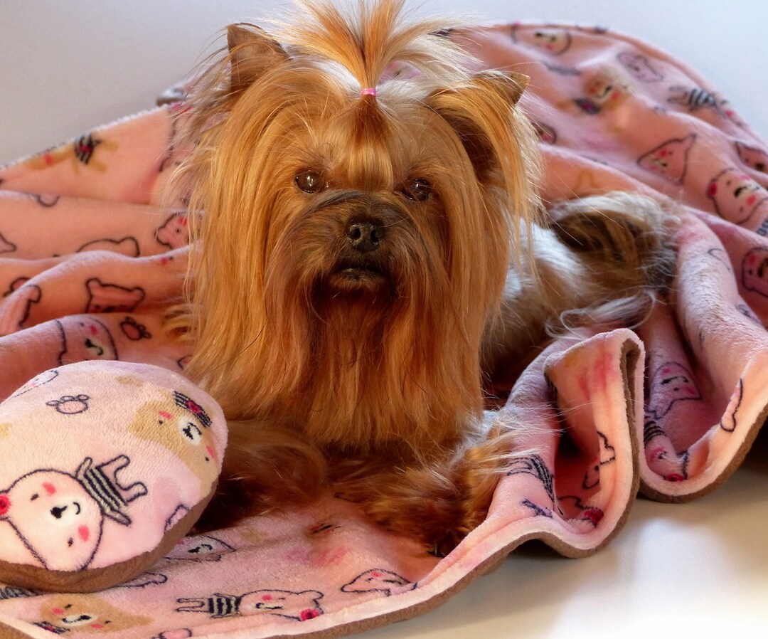 Pink Dog Blanket With Bear Motifs Made of Wellness Fleece Etsy Sweden