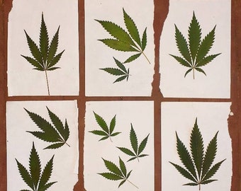 Download Free Marijuana Leaf Etsy SVG Cut Files