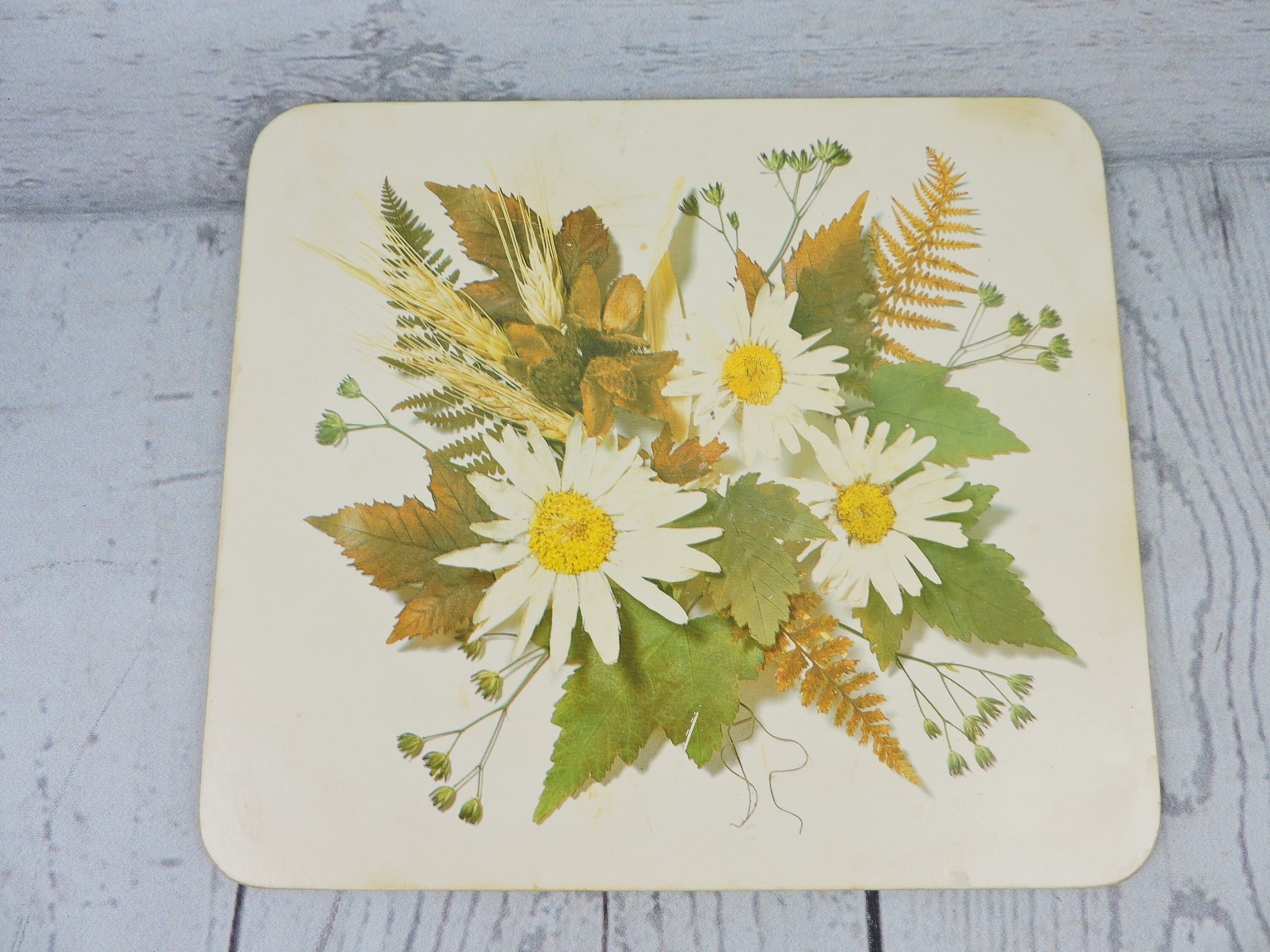 Vintage Daisy Trivets Cork Back Set of 4 Rectangular Nature Etsy