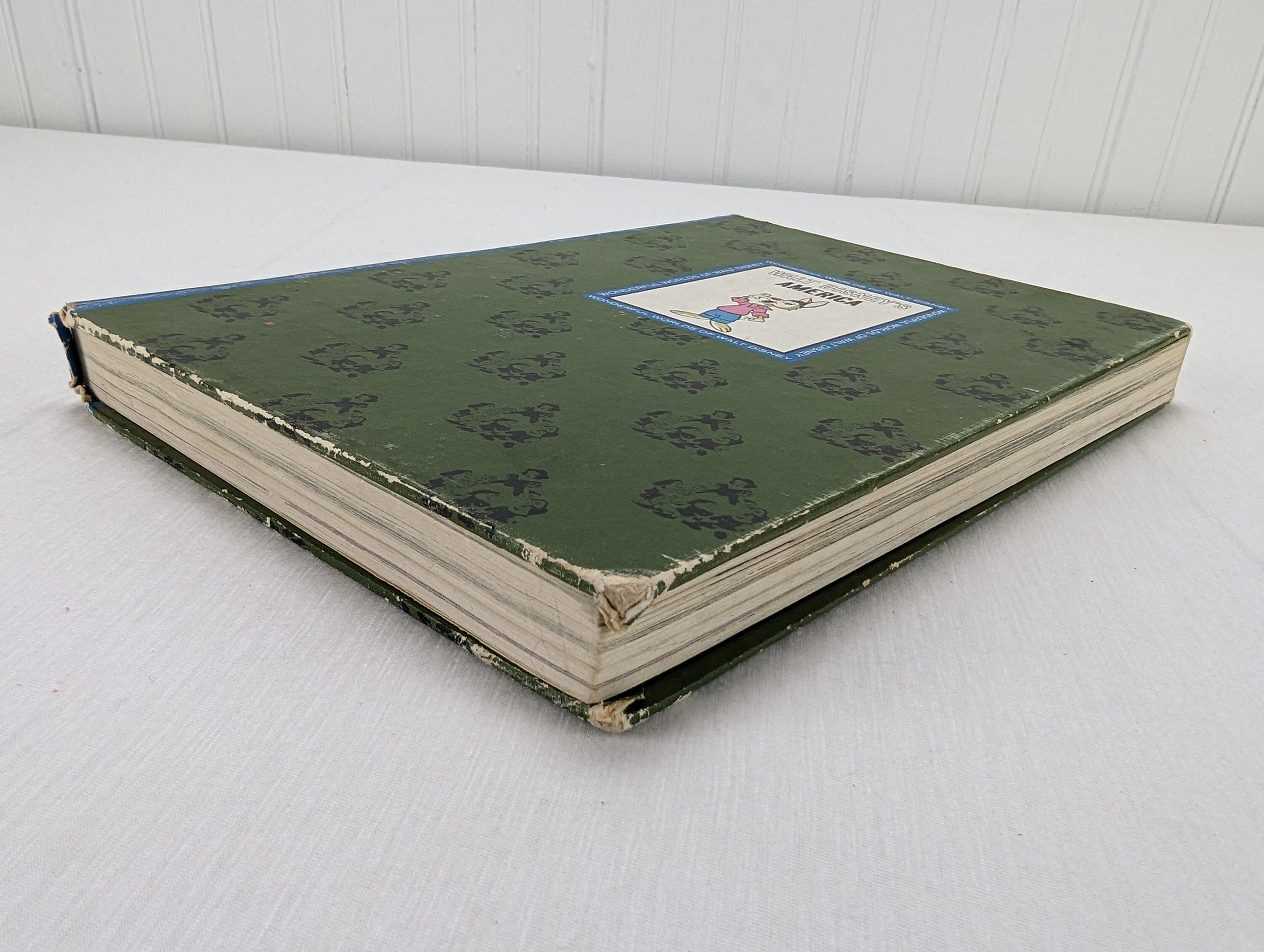 The Wonderful World of Walt Disney America Hard Cover Book