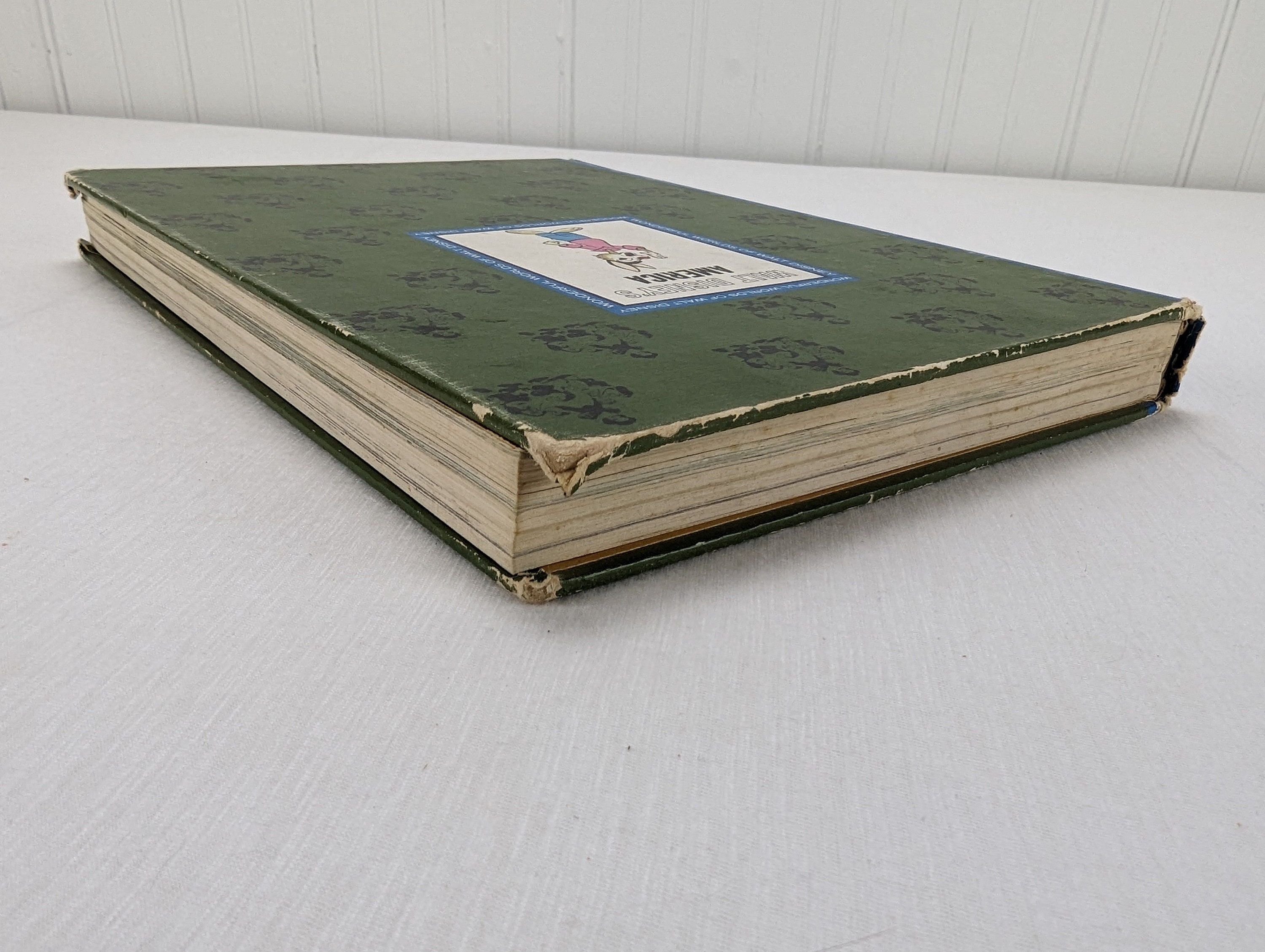 The Wonderful World of Walt Disney America Hard Cover Book