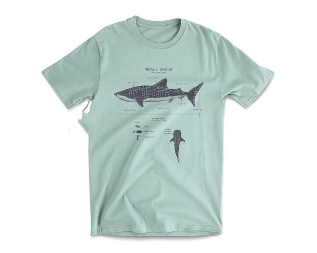 Whale Shark Anatomy Tshirt, Whale Shark T Shirt, Marine Biology