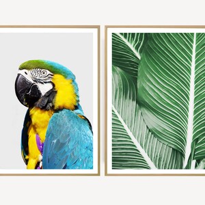 set of 2 tropical prints, digital download, tropical wall art, jungle poster, botanical wall decor, leaf print, set of two, instant download