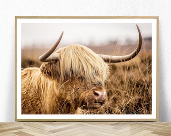 highland cow print, printable wall art, digital download, highland cow wall art, farmhouse decor, large poster, rustic prints, farm animal