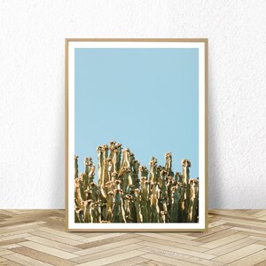 Kaktus Druck, digitaler Download, druckbare Kunst, Kaktus Poster, Südwesten, großes Foto, Sommerdruck, Pflanzen wandkunst, direkter Download
