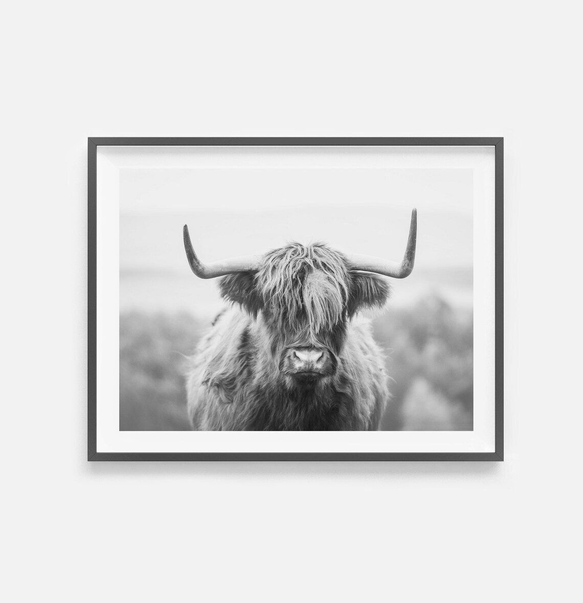Highland Cow Print Digital Download Black and White Photo Etsy