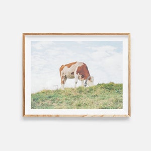 cow print, digital download, farmhouse decor, cow photography, farm animal print, cow wall art, rustic decor, animal photo, instant download