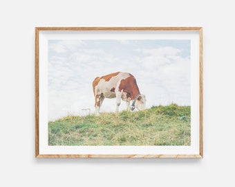 cow print, digital download, farmhouse decor, cow photography, farm animal print, cow wall art, rustic decor, animal photo, instant download