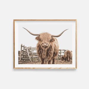 Highland Kuh Bild, Sofort Download, Highland Kuh, Hochland Kuh, Bauernhaus Dekor, Bauernhof Tier Bild, Highland Kuh Poster, Sofort Download