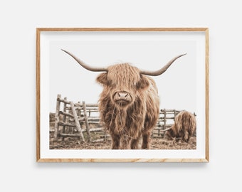 highland cow print, digital download,  highland cow wall art, farmhouse decor, farm animal print, highland cow poster, instant download