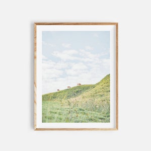 農家のプリント、デジタルダウンロード、牧草地のプリント、牛の写真、農家の装飾、農場、田舎の写真、自然のプリント、即時ダウンロード