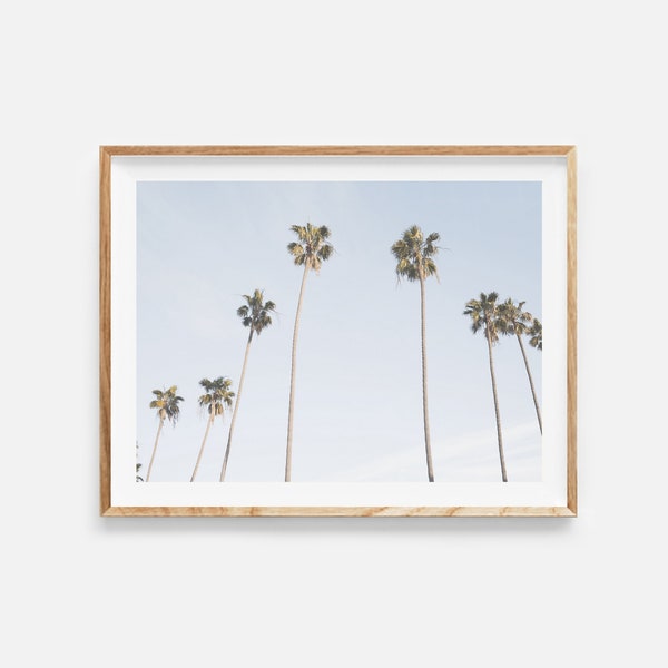 california poster, digital download, california print, palm tree poster, california wall art, travel photo, coastal decor, instant download