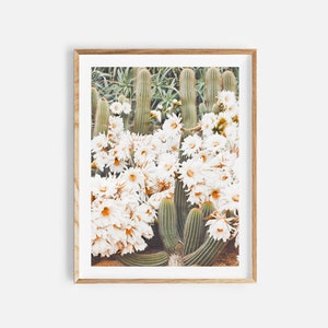 Kaktus Druck, druckbare Wandkunst, südwestliche Drucke, botanisches Dekor, Kaktus Poster, westliche Wandkunst, botanischer Druck, großes Poster