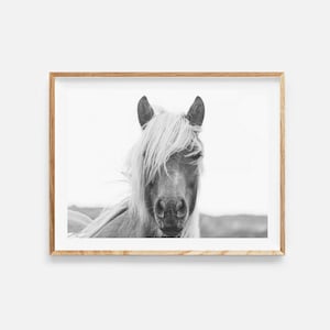 horse print, wild horse photo, digital download, horse wall art, animal photography, scandinavian decor, black and white, instant download