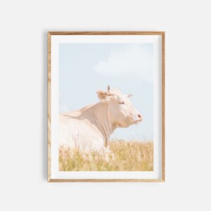 cow print, farmhouse decor, digital download, farm animal print, cow wall art, animal photography, farmhouse print, instant download