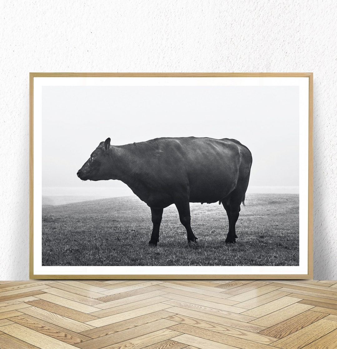 Cow Print Black And White Digital Download Cow Wall Art Etsy Ireland