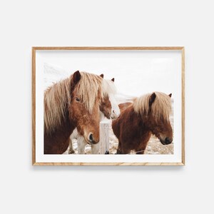horse print, printable wall art, scandinavian decor, horses photo, wild horse poster, nordic decor, scandinavian wall art, digital download