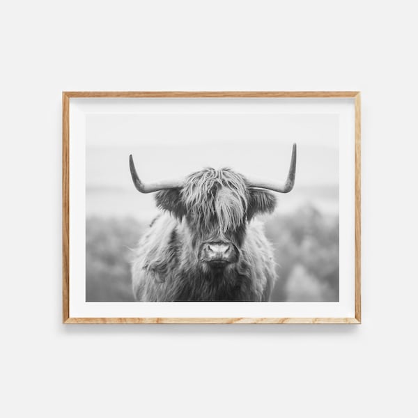 highland cow print, digital download, black and white photo, highland cow poster, farmhouse decor, farm animal print, highland cow wall art