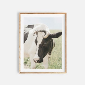 cow wall art, digital download, cow printable art, farmhouse wall decor, cow poster, farm animal print, cow photography, instant download