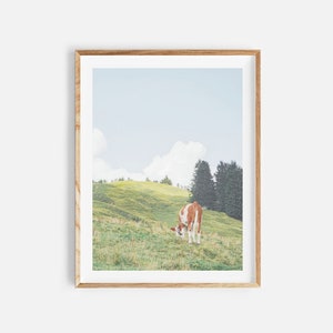 cow print, nature photography, digital download, farmhouse wall art, nature print, cow printable art, countryside photo, farmhouse decor
