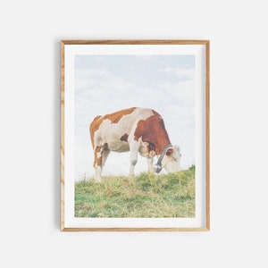 cow print, farm animal wall art, digital download, cow photo, farmhouse print, cow wall art, nature photo, farmhouse decor, instant download
