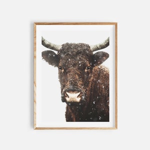 Kuh Druck, Bauernhaus Dekor, Kuh Fotografie, druckbare Wandkunst, Kuh Poster, Bauernhof Tier Drucke, moderne Dekoration, großes Poster, Western Drucke