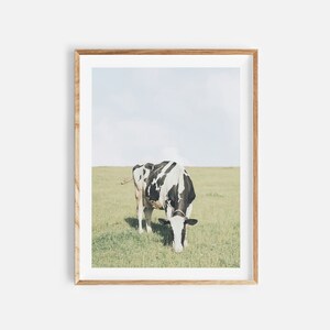 Kuh Druck, Kuh Fotografie, digitaler Download, Kuh Druck, rustikale Wandkunst, Tierfoto, Bauernhof Tierdruck, sofort Download