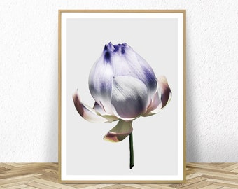 flower print, digital download, cottagecore wall art, flower poster, botanical decor, floral wall art, cottagecore decor, instant download