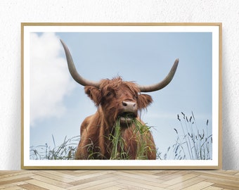 highland cow print, digital download, highland cow wall art, farm animal prints, highland cow poster, farmhouse wall decor, instant download