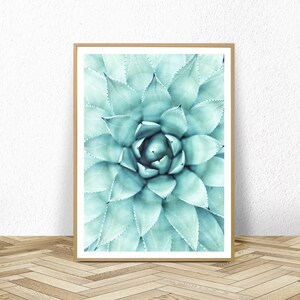 cactus print, digital download, botanical wall art, modern decor, large poster, southwestern decor, botanical print, instant download