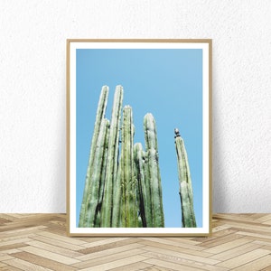 cactusafdruk, digitale download, woestijnfoto, kunst aan de muur cactus, zuidwestelijke poster, cactusfotografie, arizona wanddecor, instant download