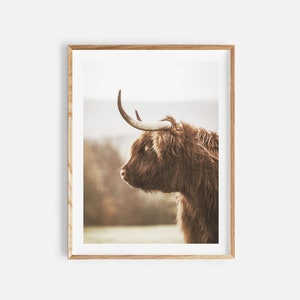 highland cow print, farm animal photo, farmhouse wall art, instant download, highland cow poster, large animal print, modern wall decor