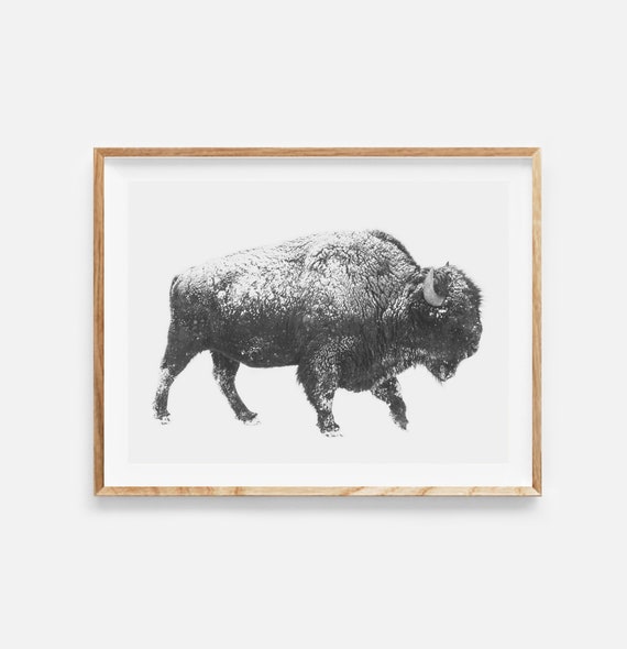 ekskrementer Trække ud Ikke moderigtigt Bison Print Black and White Photo Bison Poster Buffalo Wall - Etsy