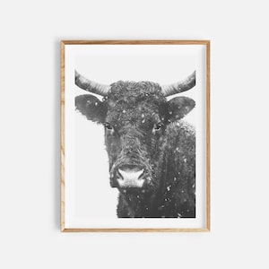 Kuh Druck, druckbare Wandkunst, western Dekor, schwarz-weiß Foto, Kuh Poster, Bauernhaus Dekor, Kuh Fotografie, Bauernhof Tier Drucke