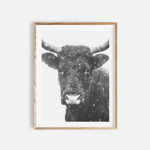 cow print, printable wall art, western decor, black and white photo, cow poster, farmhouse decor, cow photography, farm animal prints